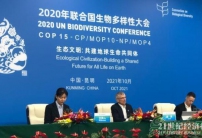 COP15：共建地球生命共同體，全球生物多樣性框架將聚焦4大長(zhǎng)期目標(biāo)