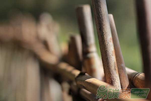 應(yīng)對(duì)氣候變化：拆解責(zé)任上的國(guó)家籬笆