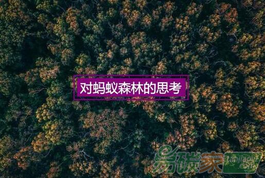 支付寶螞蟻森林背后的產(chǎn)品運(yùn)營(yíng)套路