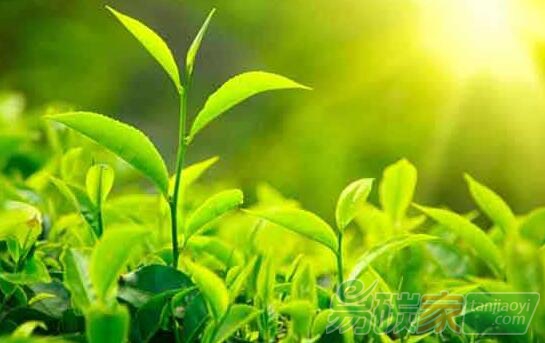 綠色金融的困境與創(chuàng)新：一個基于新制度經(jīng)濟學的綠色金融資產(chǎn)減排“確權”構想