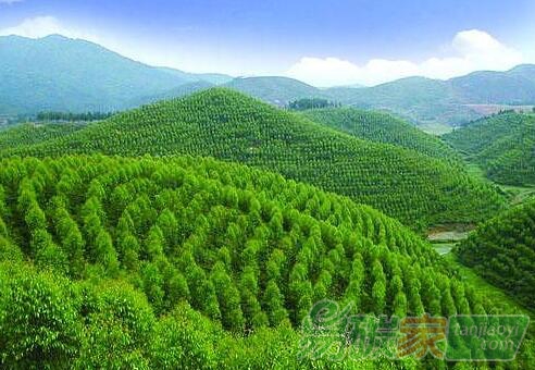 中國(guó)碳金融體系