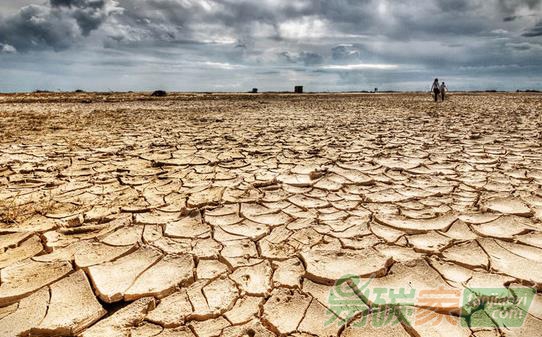 曹明德：完善我國(guó)氣候變化適應(yīng)性立法的思考