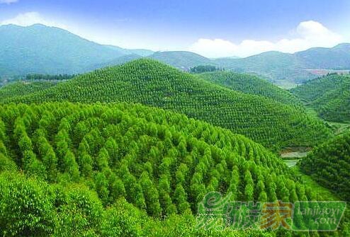 中國應(yīng)對(duì)氣候變化